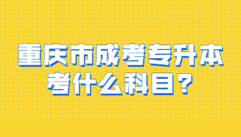 重庆市成考专升本考什么科目?